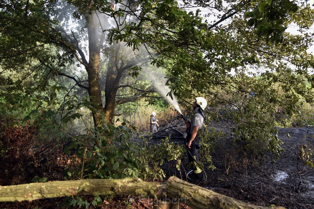 Waldbrand Koeln Hoehenhaus Hoehenfelder Mauspfad P092.JPG - Miklos Laubert